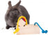 Фото #2 товара Trixie Gra zabawka na przysmaki dla królika gryzoni papug uniwersalny
