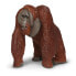 SAFARI LTD Bornean Orangutan Figure