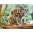 Puzzle Koala 200 Teile