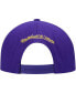 Фото #3 товара Men's Purple Los Angeles Lakers Hardwood Classics Earthquake Snapback Hat