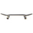 HYDROPONIC Savage Co 7.25´´ Skateboard