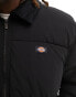 Dickies overbrook eisenhower puffer jacket in black