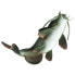 Фото #6 товара SAFARI LTD Catfish Figure