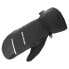 Фото #1 товара SALOMON Propeller Goretex mittens