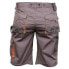 Фото #3 товара WORKFIT Pro shorts