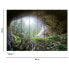 Фото #3 товара Fototapete Höhle im Wald