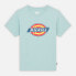 Фото #4 товара DICKIES Logo short sleeve T-shirt