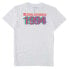 ფოტო #4 პროდუქტის DC SHOES Explorer short sleeve T-shirt