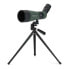 Фото #2 товара CELESTRON Spotting Scope LandScout 12-36x60 45º Telescope