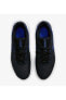 Legend Essential 2 Men's Shoes Black Blue CQ9356 403