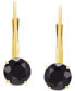 ფოტო #3 პროდუქტის Onyx Solitaire Leverback Drop Earrings in 14k Gold