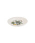 Botanic Garden Harmony Amber 4 Piece Dinner Plate Set