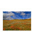 Фото #1 товара American School Poppies with Clouds Canvas Art - 15" x 20"
