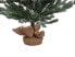 Фото #5 товара Weihnachtsbaum RINGROSE