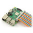 Фото #3 товара Cable IDC 40 pin female-female 20 cm Raspberry Pi 4B/3B+/3B/2B