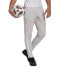 Фото #3 товара Adidas Squadra 21 Sweat Pant M GT6644