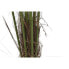 Фото #2 товара Декоративное растение DKD Home Decor Пальмовое (100 x 100 x 240 cm)