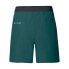 Фото #4 товара VAUDE Scopi LW II Shorts Pants