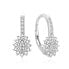 Glittering silver earrings with zircons AGUC2154L