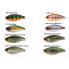 Фото #2 товара SAKURA Rodeus SR Crankbait 40 mm 3.6g