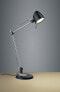 Фото #3 товара Лампа настольная офисная TRIO Rado Metal 5 Вт LED