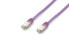 Фото #3 товара Equip Cat.6A Platinum S/FTP Patch Cable - 0.5m - Purple - 0.5 m - Cat6a - S/FTP (S-STP) - RJ-45 - RJ-45