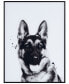 Фото #1 товара "German Shepherd" Pet Paintings on Printed Glass Encased with A Black Anodized Frame, 24" x 18" x 1"