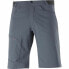 Sports Shorts Salomon Wayfarer Moutain Grey