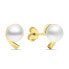 Фото #2 товара Minimalist gold plated earrings with real pearls EA595Y