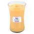 Фото #1 товара Scented candle vase Seaside Mimosa 609.5 g