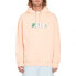 Фото #1 товара VOLCOM Fa Ed Merlin Murray Hoodie