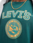 Фото #3 товара Levi's varsity patch logo relaxed fit t-shirt in green