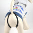 ფოტო #4 პროდუქტის CERDA GROUP Mickey Dog Sweater