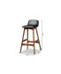 Darrin Mid-Century Modern Wood Bar Stool Set, 2 Piece