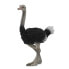 Фото #2 товара Развивающий игровой набор или фигурка для детей COLLECTA Ostrich Figure