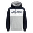 Фото #3 товара JACK & JONES Logo Blocking hoodie 2 units