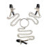 Фото #1 товара Nipple Clamps and Clit Clamps with Chain Metal