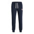 Спортивные штаны для взрослых Jack & Jones JPSTGORDON 12225078 Тёмно Синий Мужской