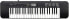 Фото #1 товара Casio CTK-240 Keyboard mit 49 Standardtasten, schwarz