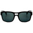 APHEX Dunk Polarized Sunglasses