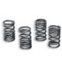 MALOSSI Original AM6 TZR 50 Clutch Spring Kit Серебристый - фото #1