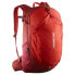 Фото #1 товара SALOMON Trailblazer 30L backpack