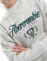 Фото #4 товара Abercrombie & Fitch heritage embriodery and print sweatshirt in grey