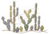 Фото #6 товара Tafel mit Kaktus