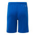 Фото #2 товара ADIDAS Squadra 21 Shorts