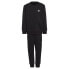 Фото #2 товара ADIDAS ORIGINALS Adicolor Crew tracksuit