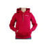 Фото #1 товара Champion Hooded Sweatshirt