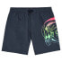 O´NEILL Circle Surfer 14´´ Swimming Shorts