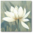 Фото #1 товара Waterlily II Gallery-Wrapped Canvas Wall Art - 16" x 16"