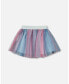 Фото #1 товара Big Girls Vertical Striped Tulle Skirt